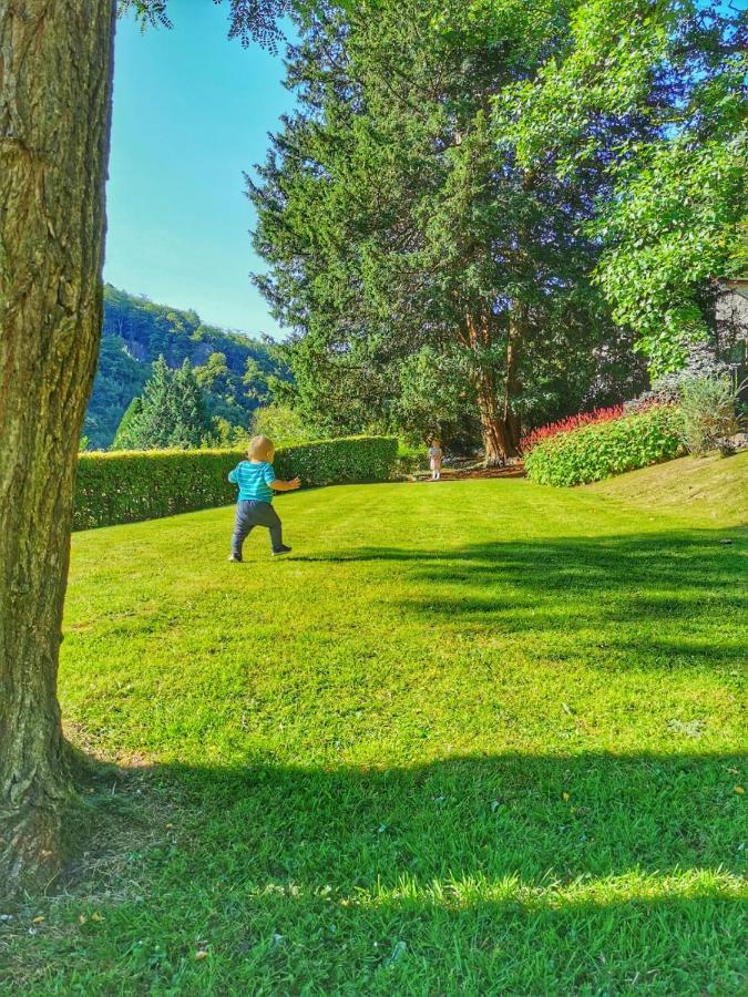 Stunning Symonds Yat Holiday Cottage Luaran gambar
