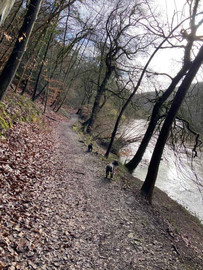 Stunning Symonds Yat Holiday Cottage Luaran gambar